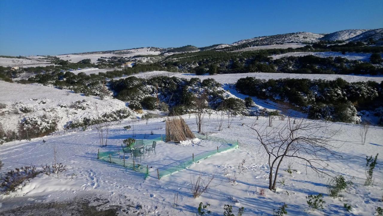 Daniil'S Luxury Villa And Spa Agios Antonios  Zewnętrze zdjęcie